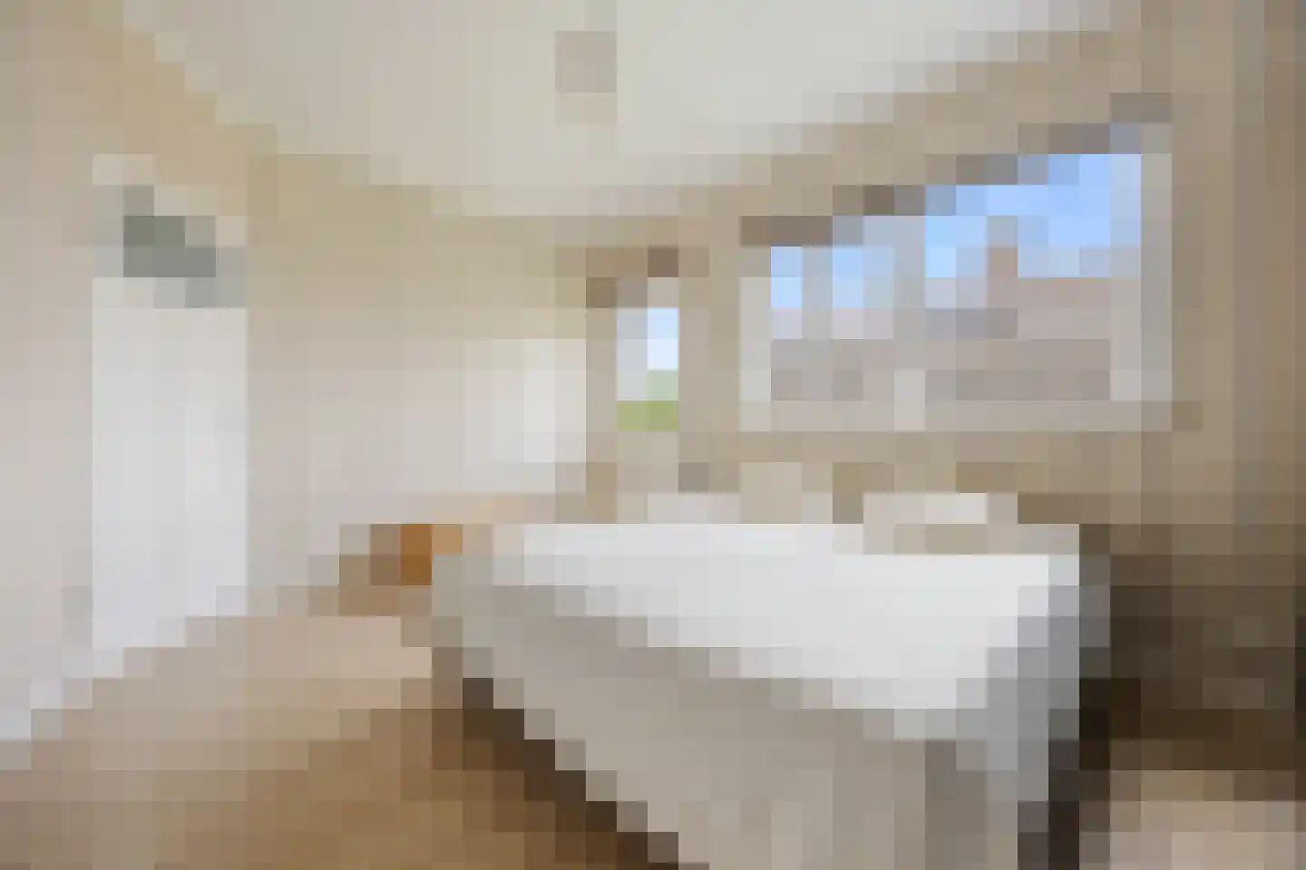 Hamersestraat 5 Westervoort thumbnail 33