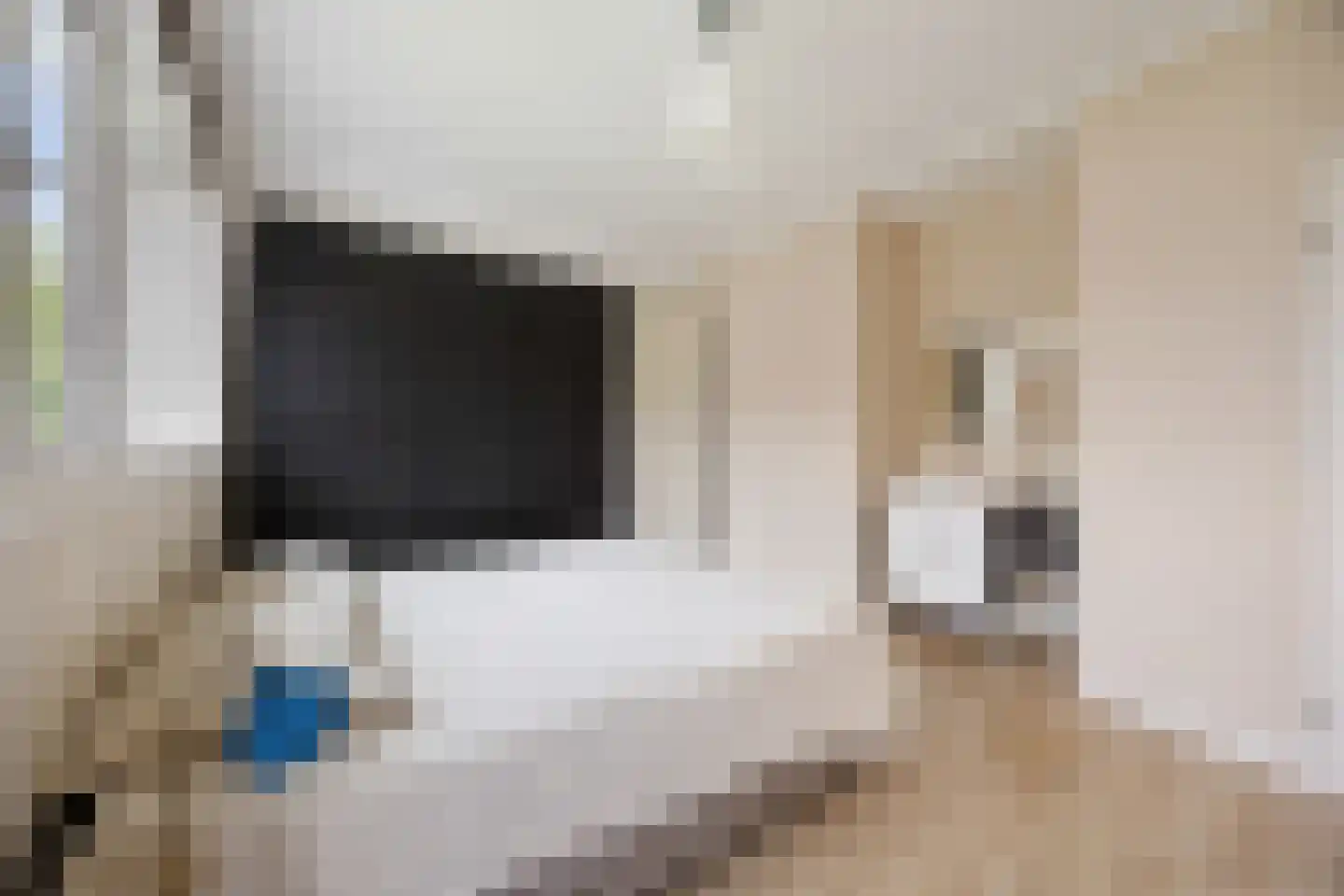 Hamersestraat 5 Westervoort thumbnail 34
