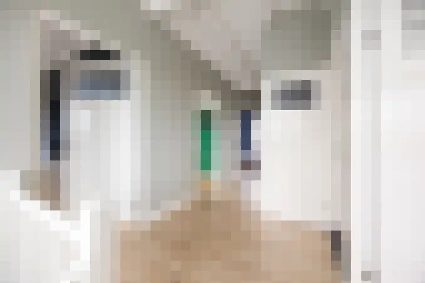 Hamersestraat 5 Westervoort thumbnail 35