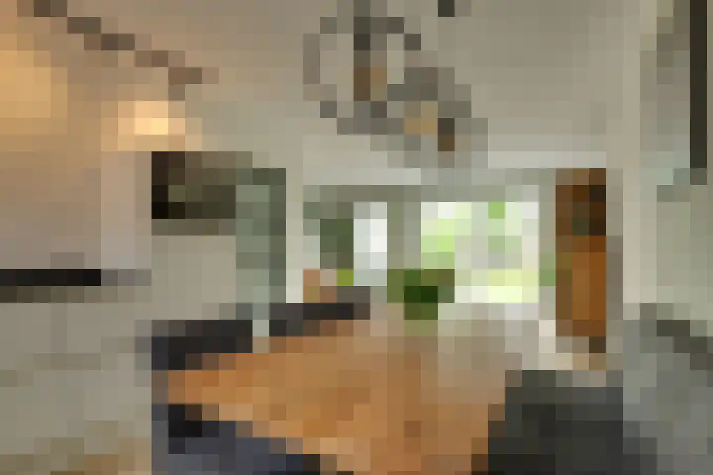 Hamerslanden 10 Assen thumbnail 10