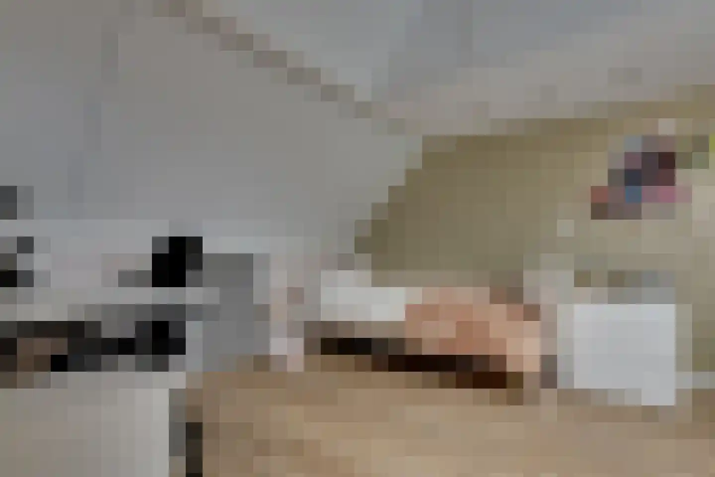 Hamerslanden 10 Assen thumbnail 20