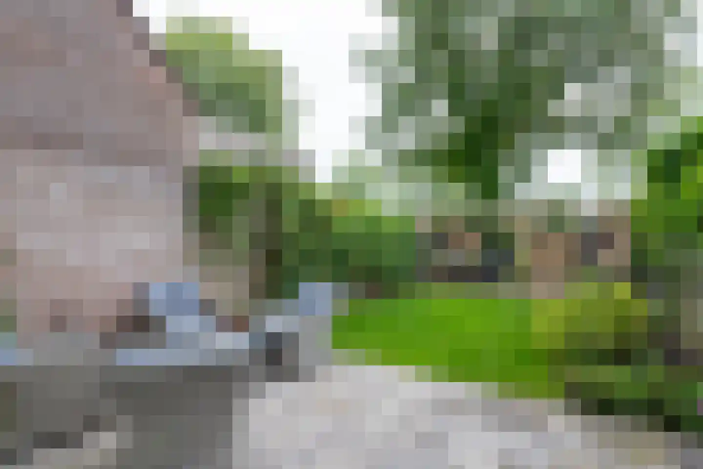 Hamerslanden 10 Assen thumbnail 23