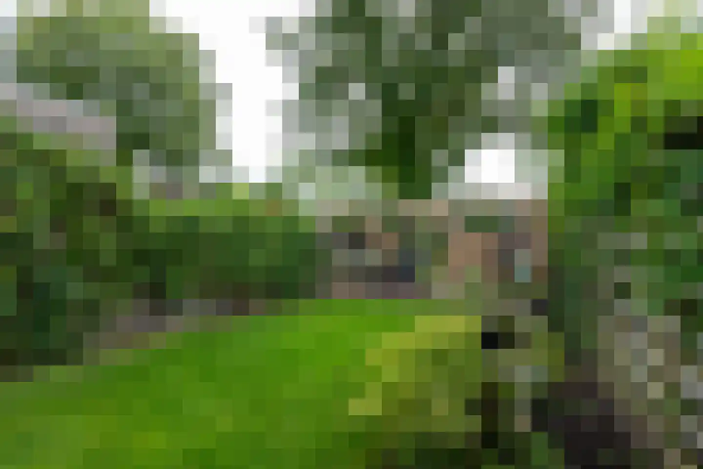 Hamerslanden 10 Assen thumbnail 24