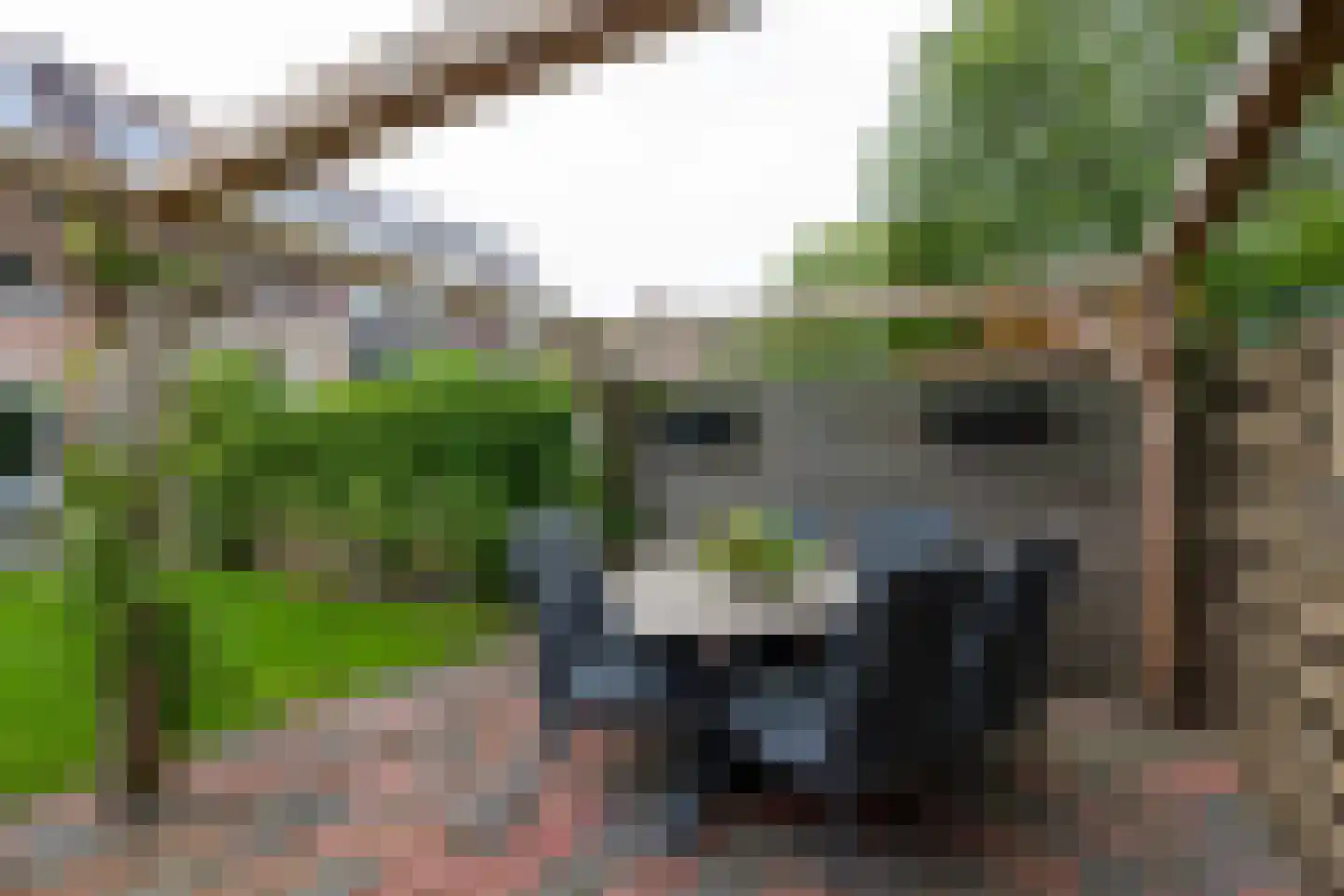 Hamerslanden 10 Assen thumbnail 25