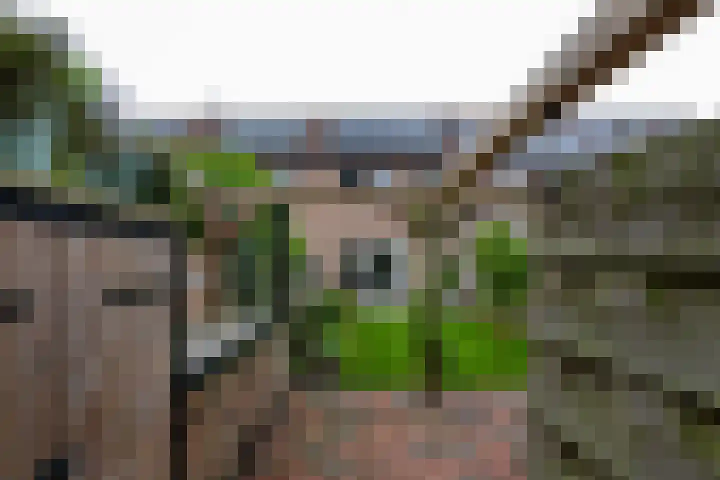 Hamerslanden 10 Assen thumbnail 27