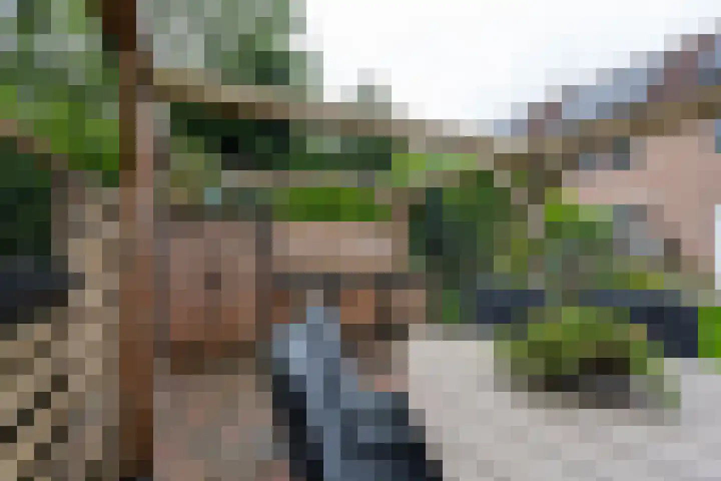 Hamerslanden 10 Assen thumbnail 28