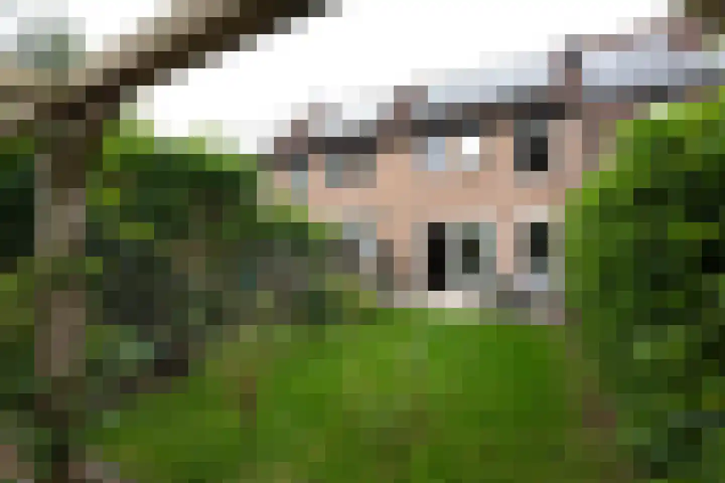 Hamerslanden 10 Assen thumbnail 29