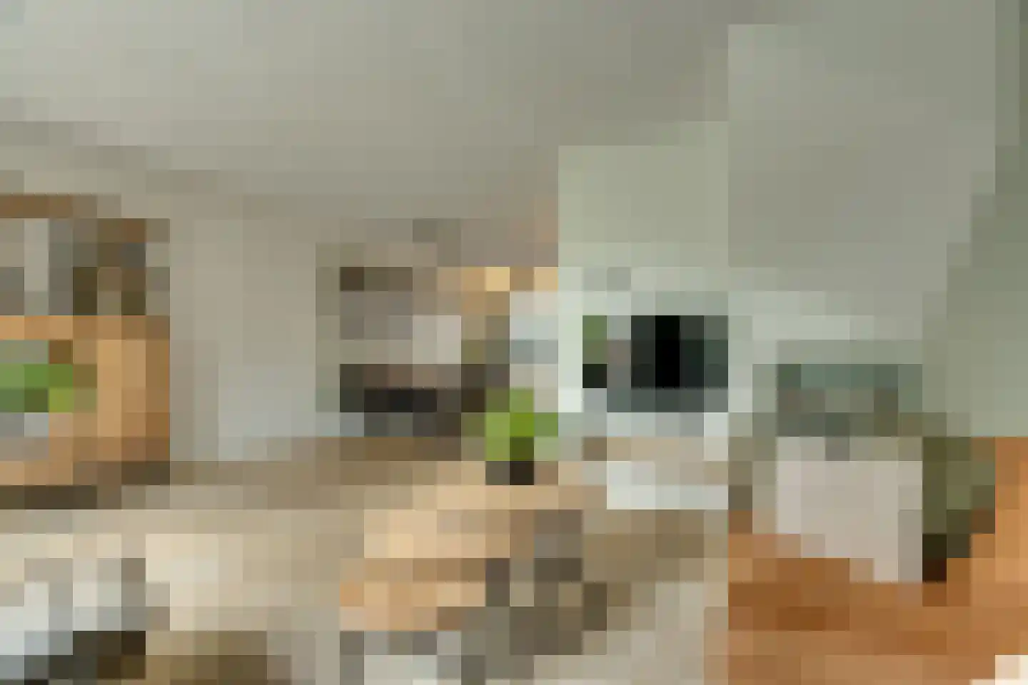 Hamerslanden 10 Assen thumbnail 6