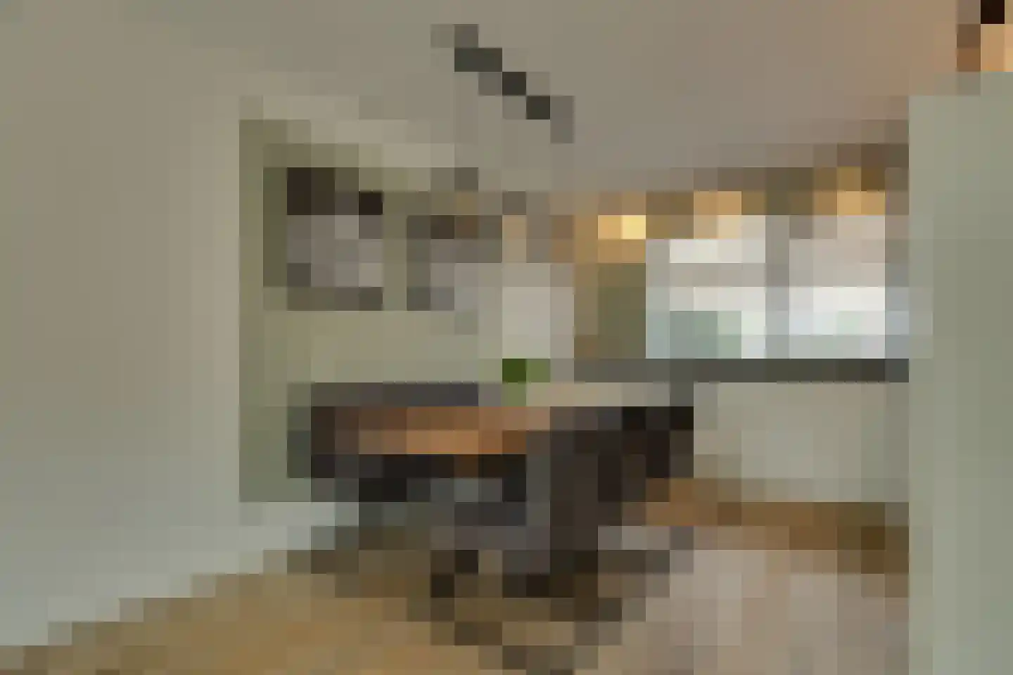 Hamerslanden 10 Assen thumbnail 7