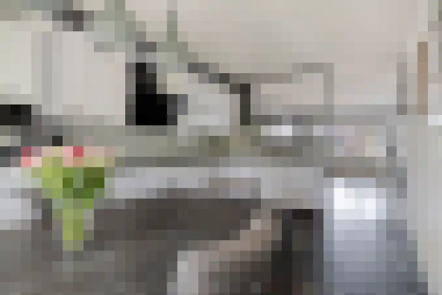 Hamerslanden 14 Assen thumbnail 20
