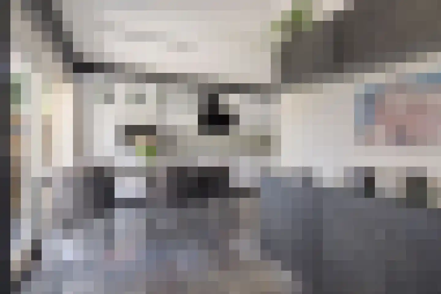 Hamerslanden 14 Assen thumbnail 21