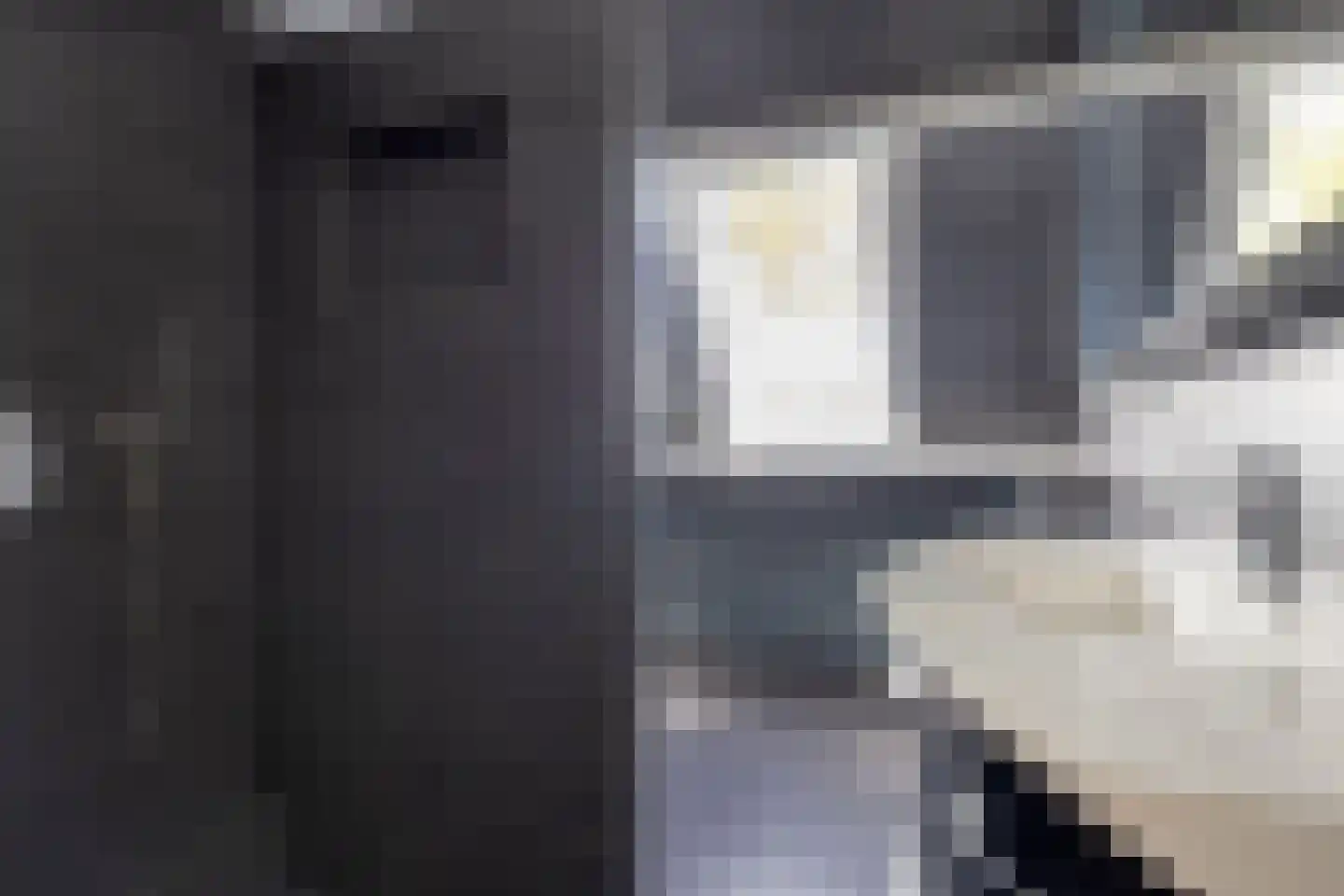Hamerslanden 14 Assen thumbnail 28