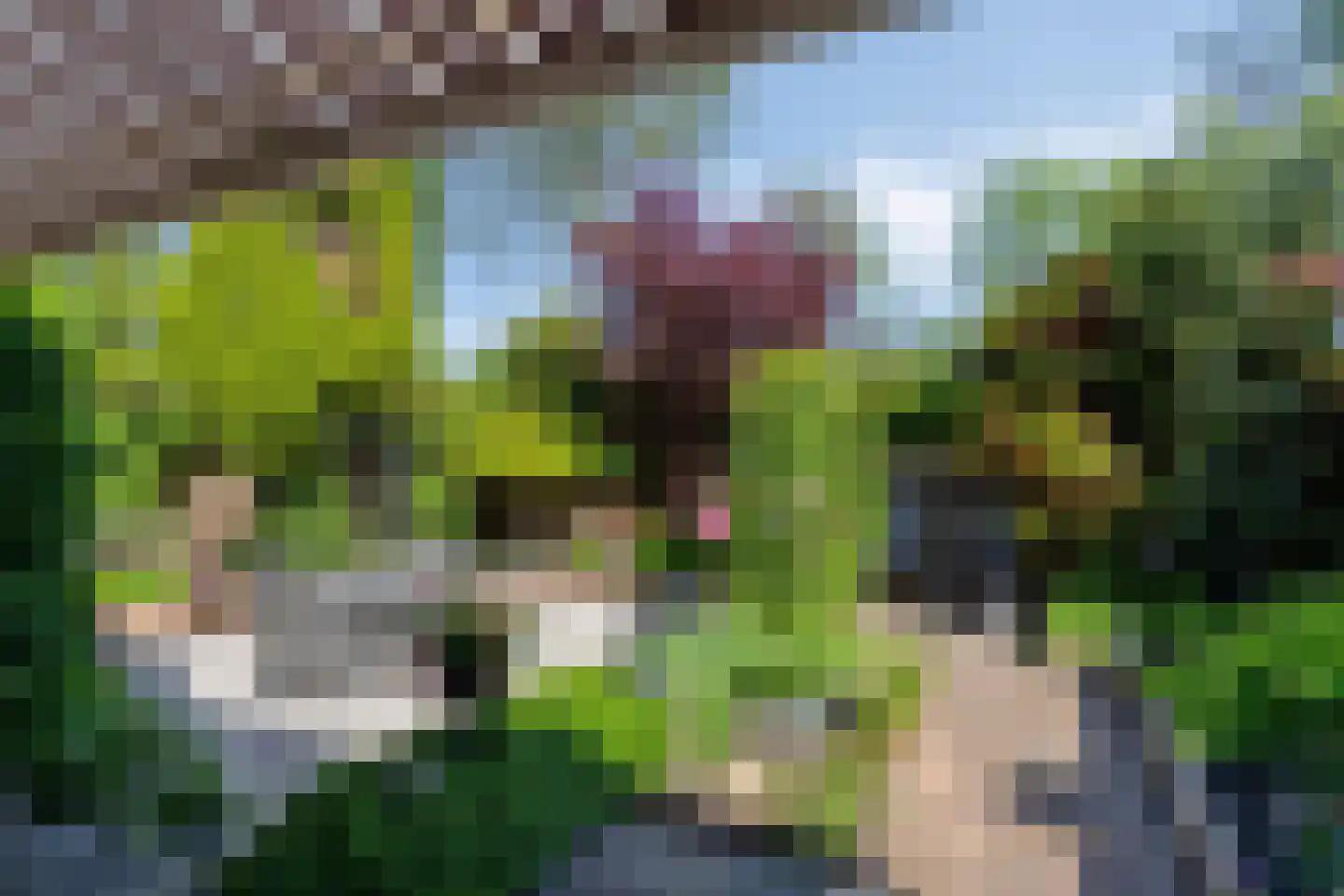 Hamerslanden 14 Assen thumbnail 34