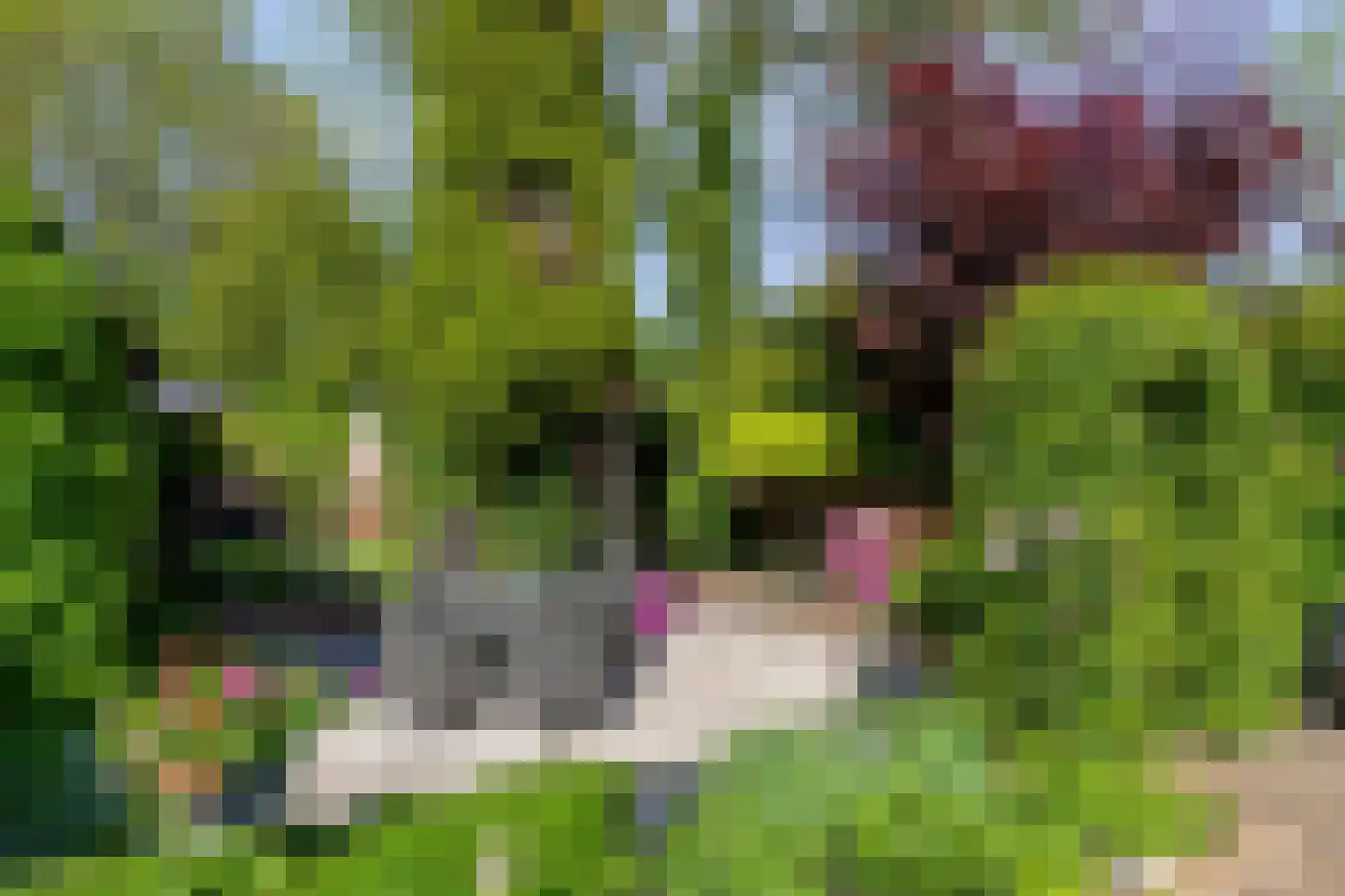 Hamerslanden 14 Assen thumbnail 35