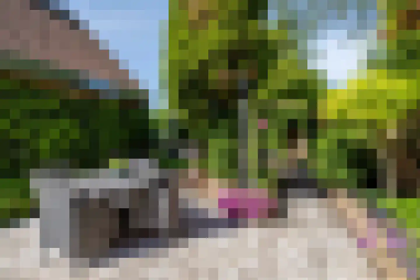 Hamerslanden 14 Assen thumbnail 36