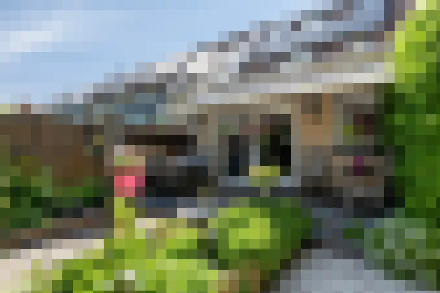 Hamerslanden 14 Assen thumbnail 43