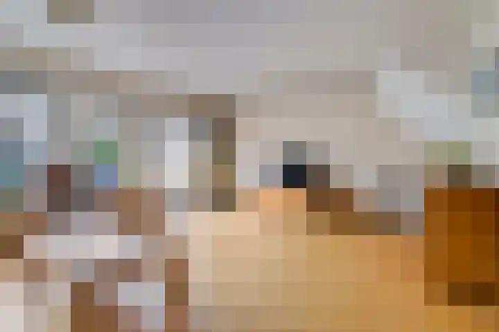 Hamerslanden 35 Assen thumbnail 11