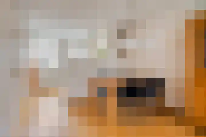 Hamerslanden 35 Assen thumbnail 14