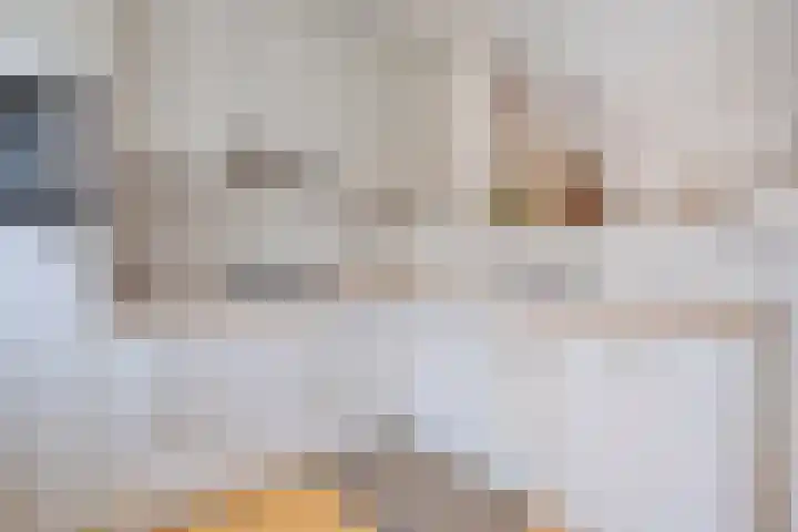 Hamerslanden 35 Assen thumbnail 15
