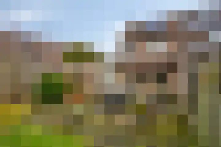 Hamerslanden 35 Assen thumbnail 31