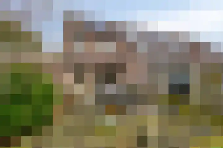 Hamerslanden 35 Assen thumbnail 32