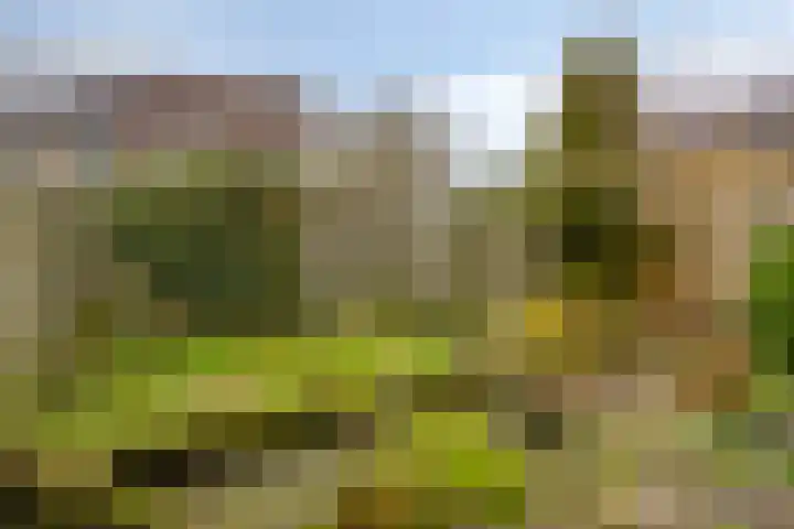 Hamerslanden 35 Assen thumbnail 34