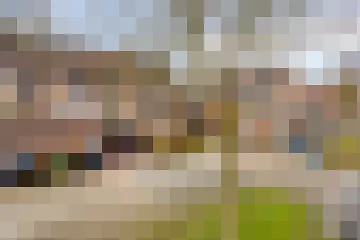 Hamerslanden 35 Assen thumbnail 36