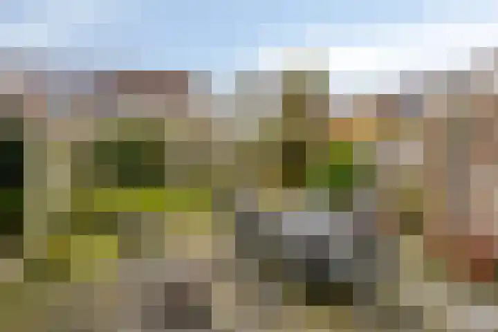 Hamerslanden 35 Assen thumbnail 4
