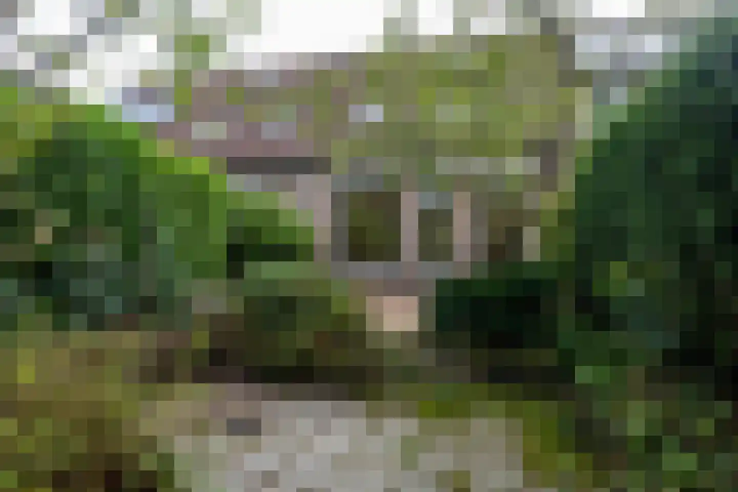 Hamerslanden 9 Assen thumbnail 26