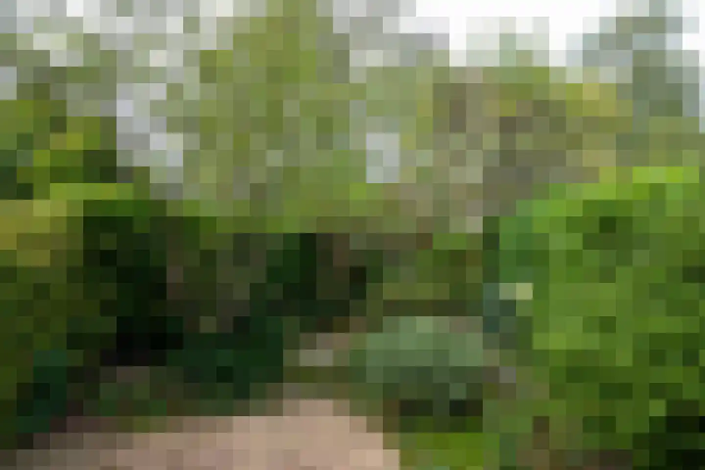 Hamerslanden 9 Assen thumbnail 27