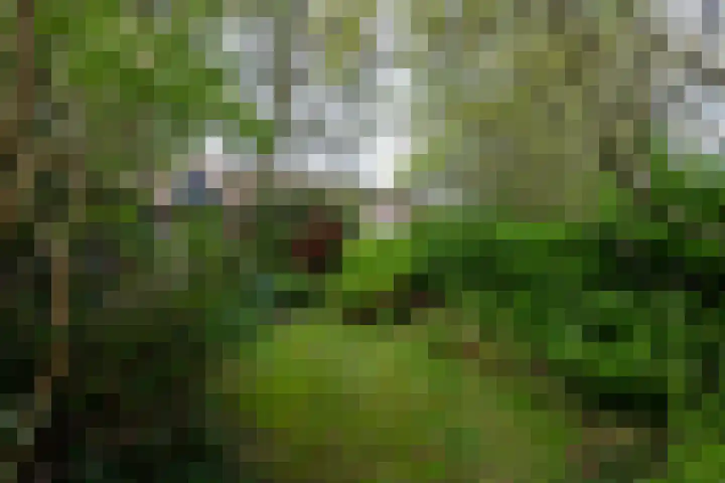 Hamerslanden 9 Assen thumbnail 28