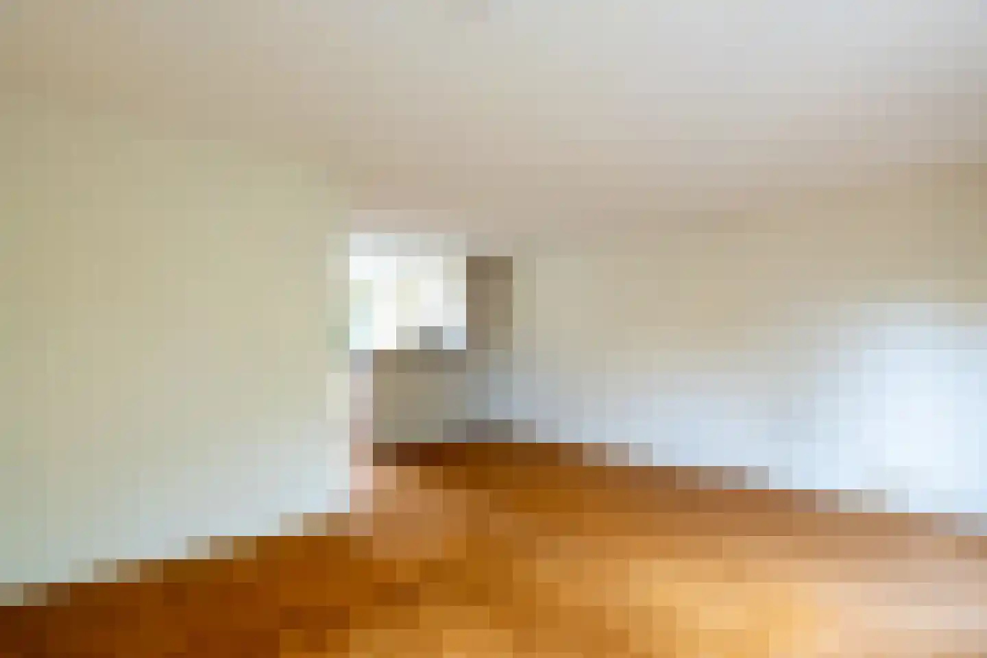 Hamerslanden 9 Assen thumbnail 6