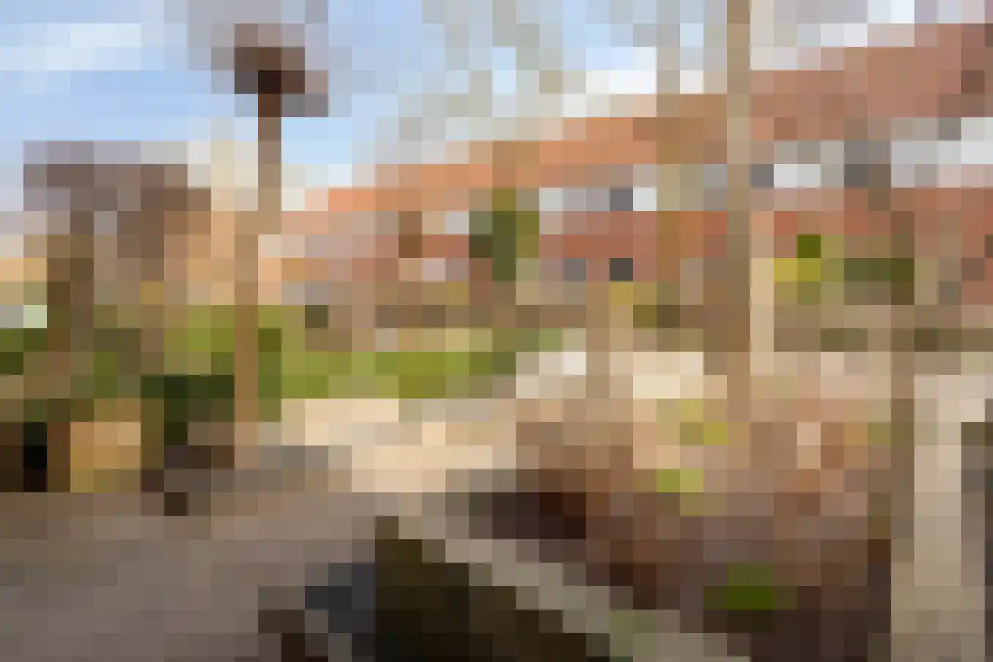 Hamersstraat 18 Deventer thumbnail 29
