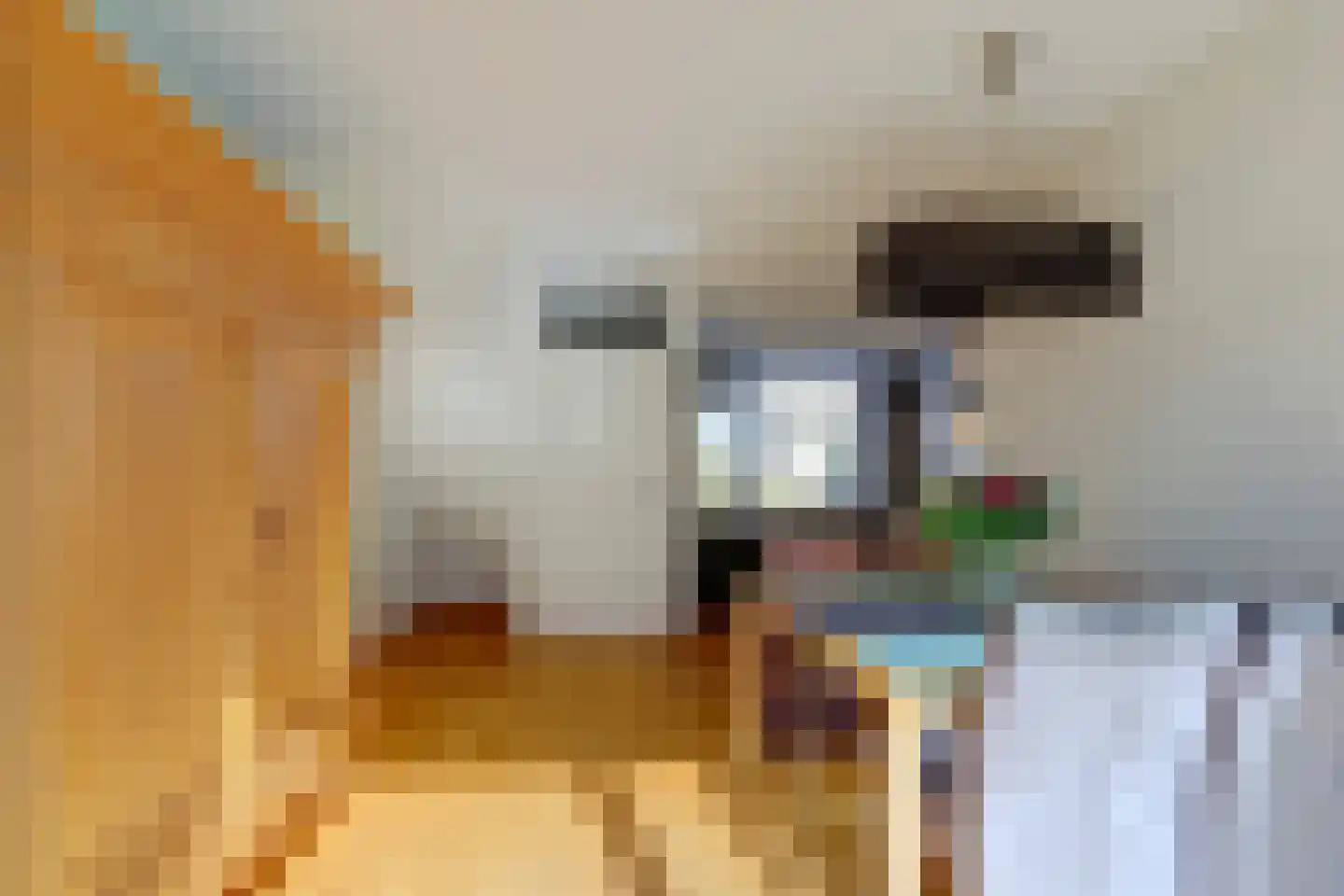 Hamerstedestraat 12 Kats thumbnail 13