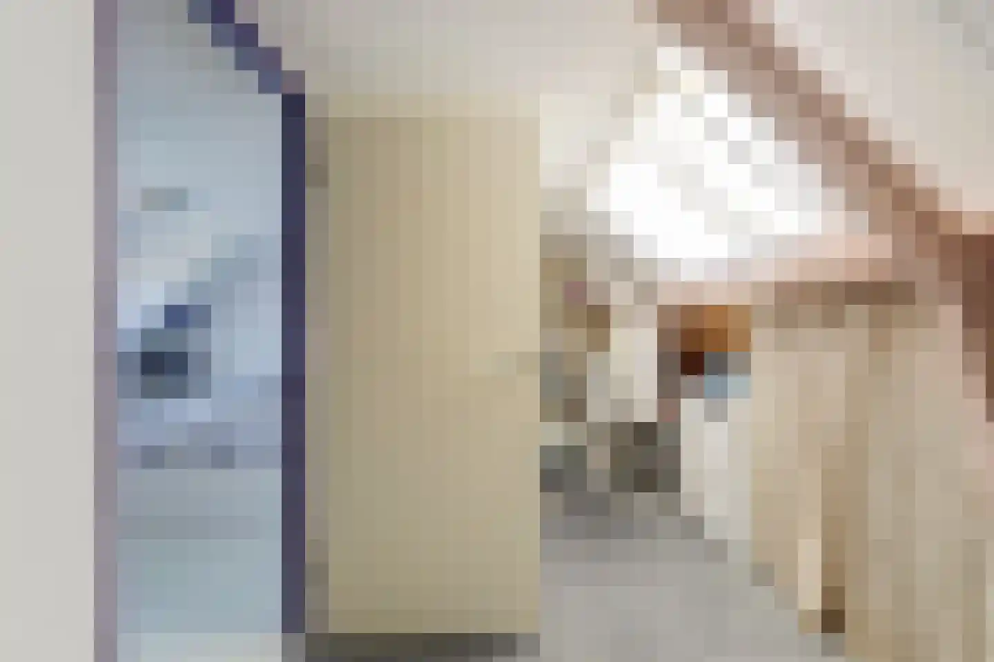 Hamerstedestraat 12 Kats thumbnail 28