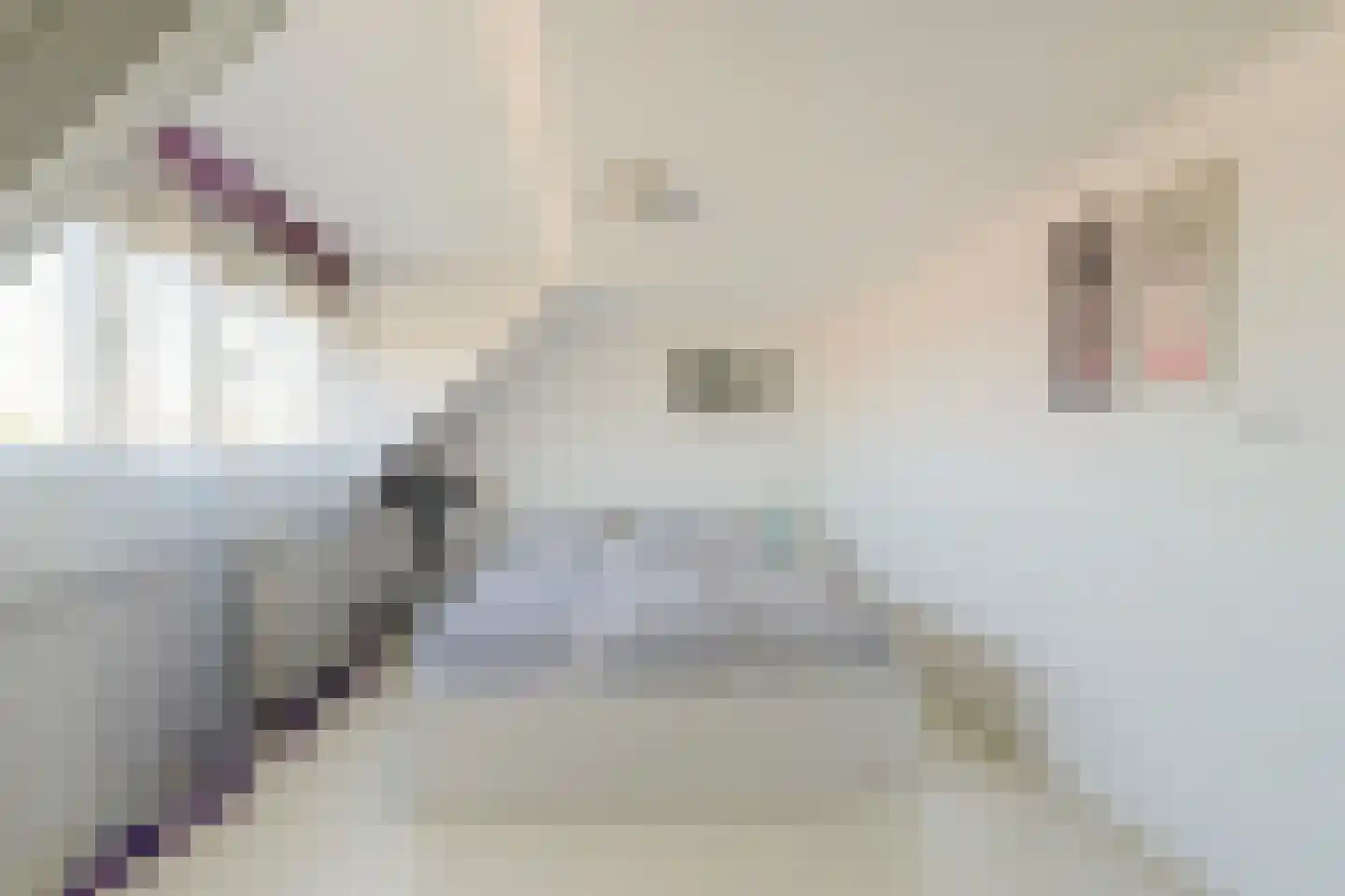 Hamerstedestraat 12 Kats thumbnail 29