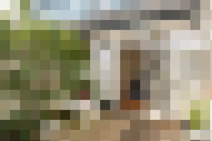Hamerstraat 108 Bussum thumbnail 22
