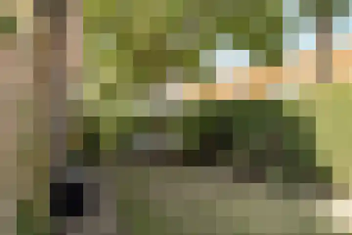 Hamerstraat 108 Bussum thumbnail 27