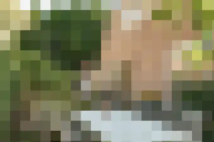 Hamerstraat 108 Bussum thumbnail 29