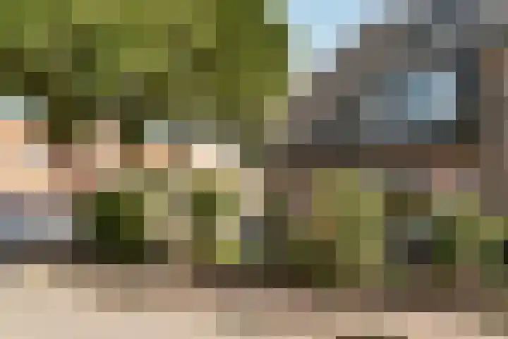 Hamerstraat 108 Bussum thumbnail 47