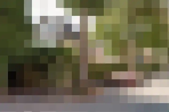 Hamerstraat 108 Bussum thumbnail 49