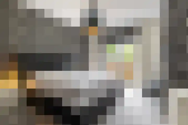 Hamerstraat 109 Heerlen thumbnail 13