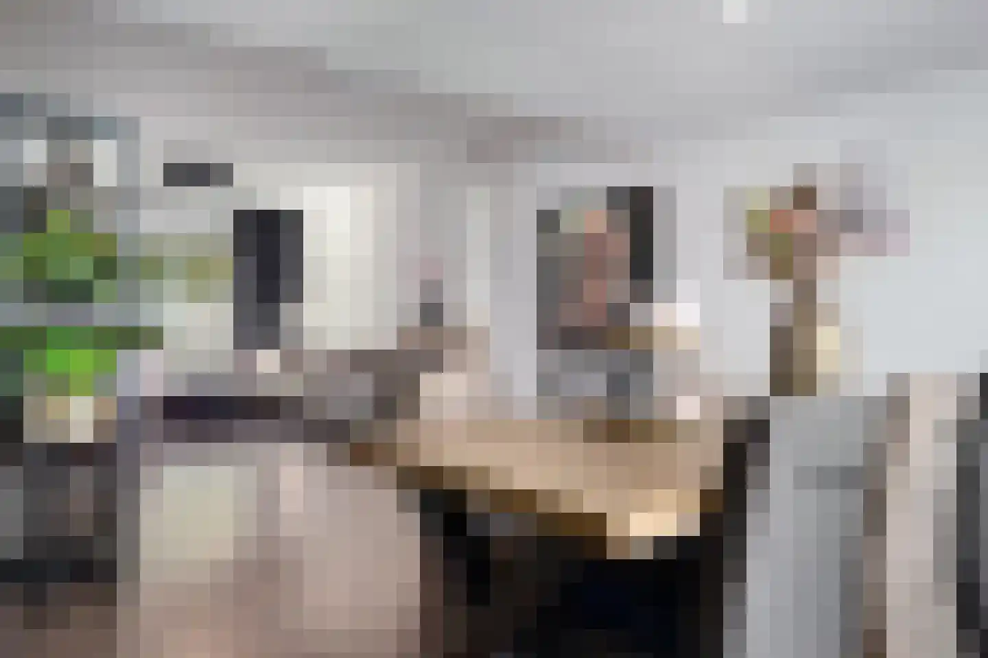 Hamerstraat 43 Heerlen thumbnail 4