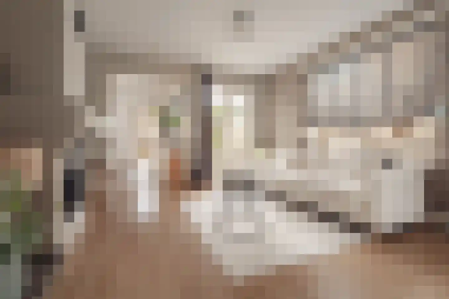 Hamerstraat 48 Bussum thumbnail 11