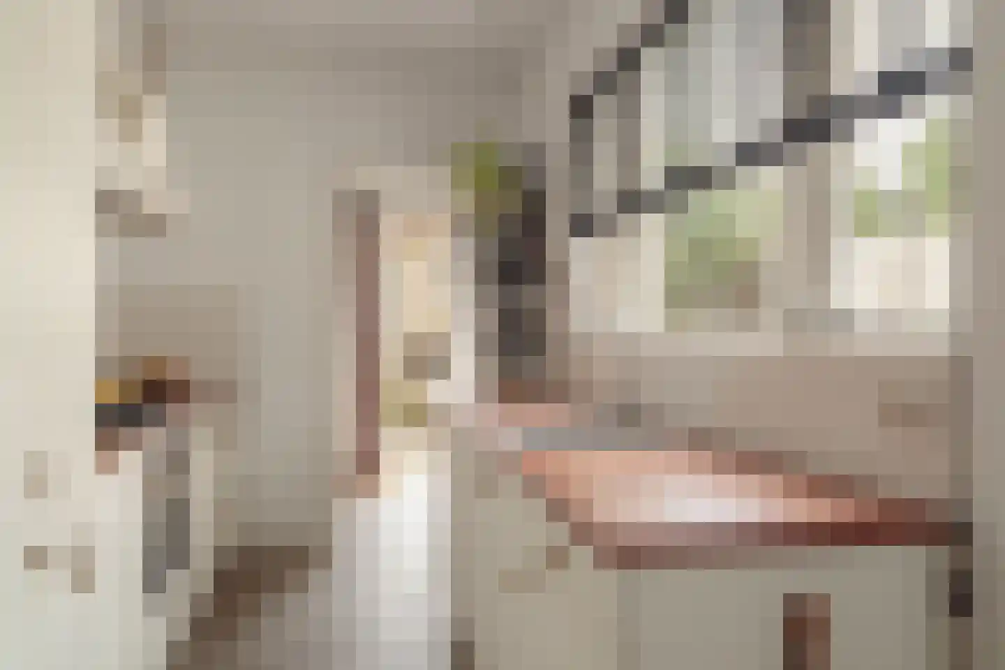 Hamerstraat 48 Bussum thumbnail 14