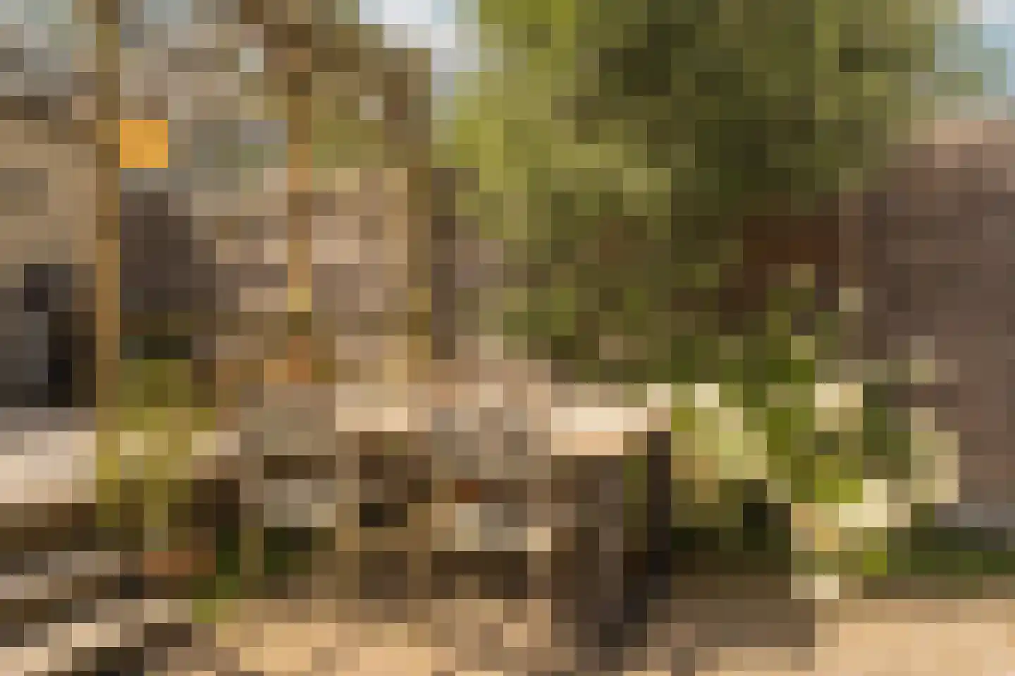 Hamerstraat 48 Bussum thumbnail 20