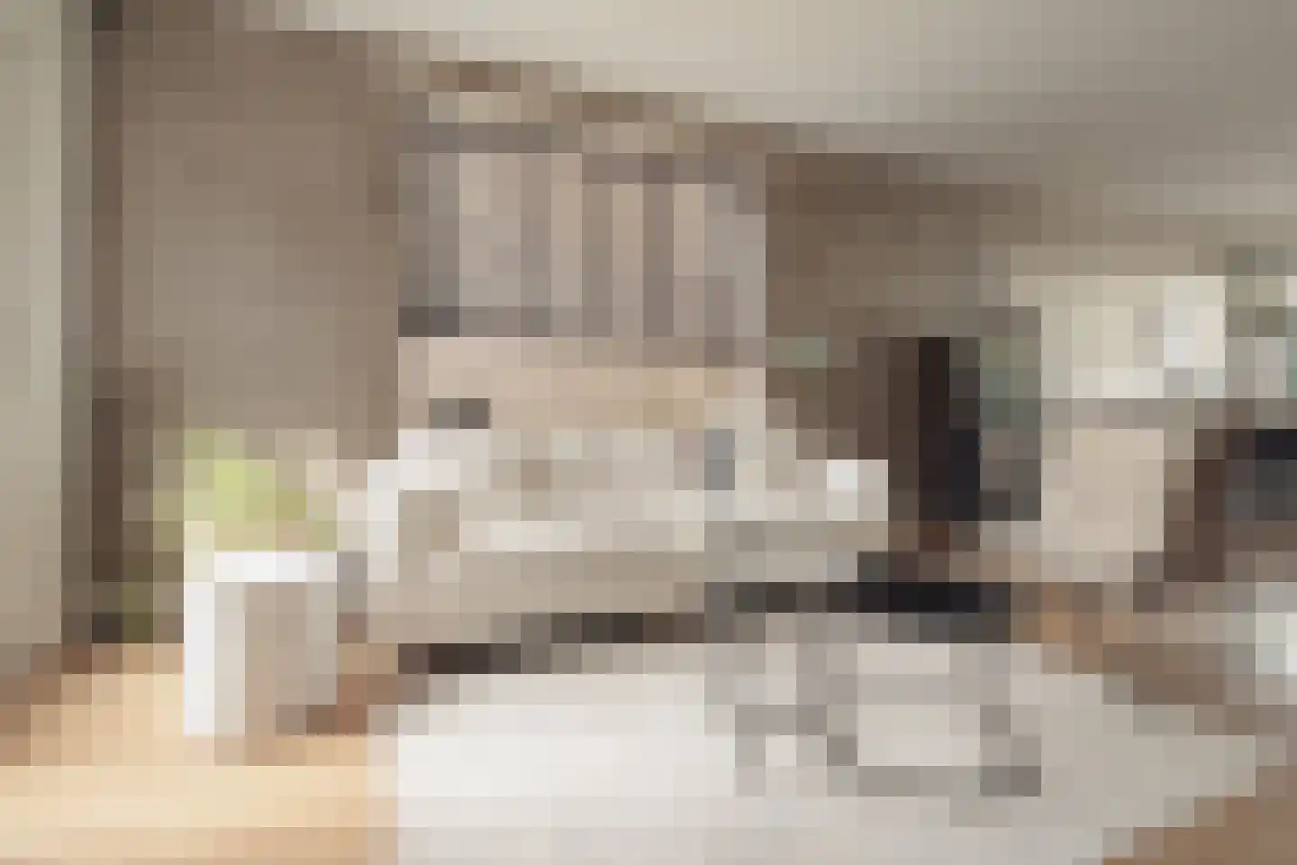 Hamerstraat 48 Bussum thumbnail 8