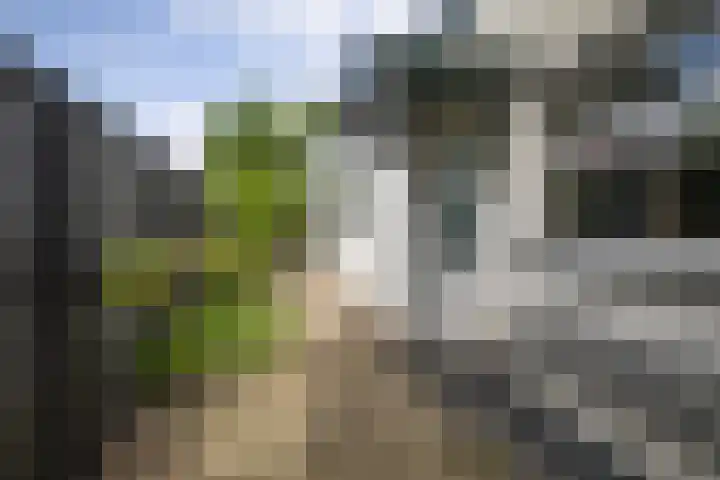 Hamerstraat 53 Bussum thumbnail 24