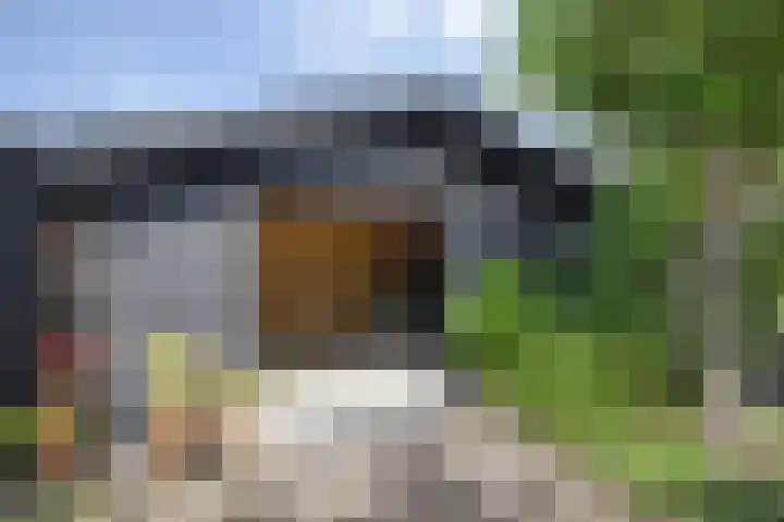 Hamerstraat 53 Bussum thumbnail 28