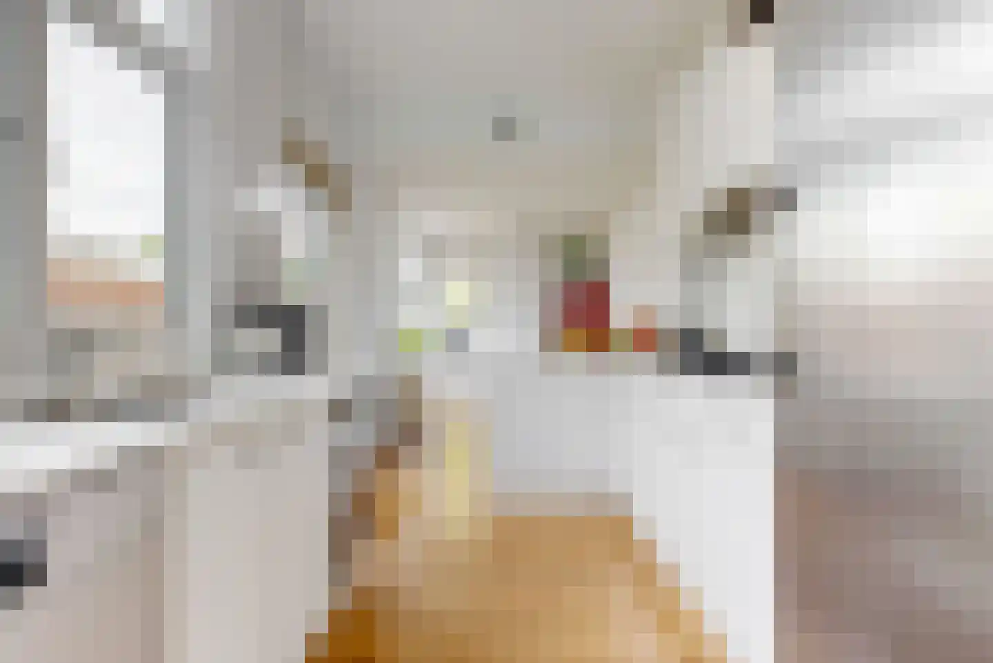 Hamerstraat 57 Bussum thumbnail 11